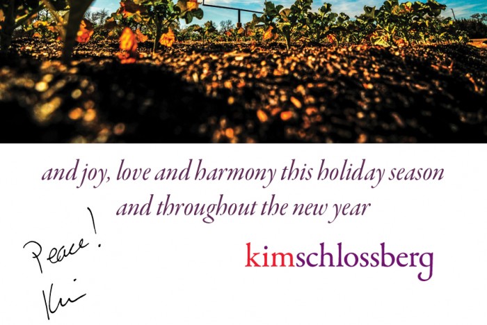 Happy Holidays from Kim Schlossberg Designs